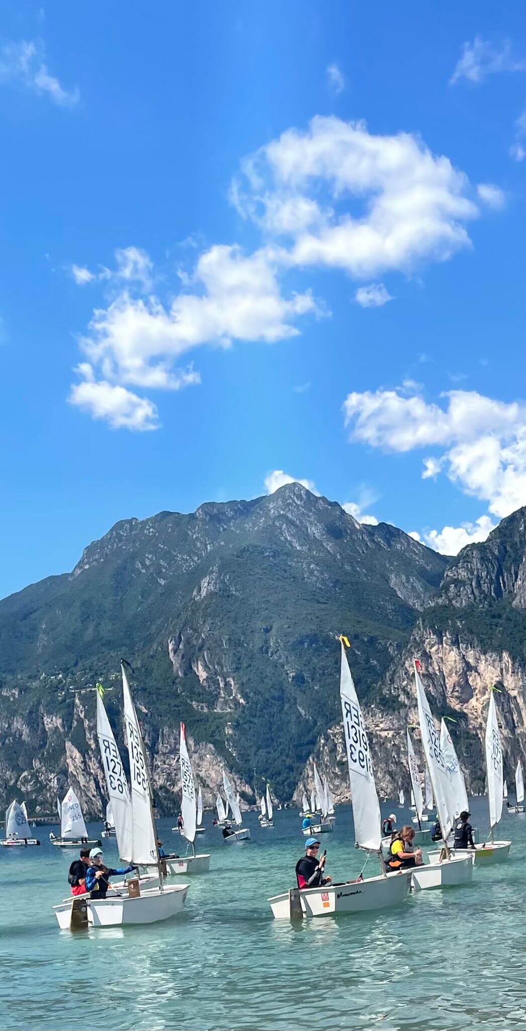 Die Optis GER 13193 und GER 13551.