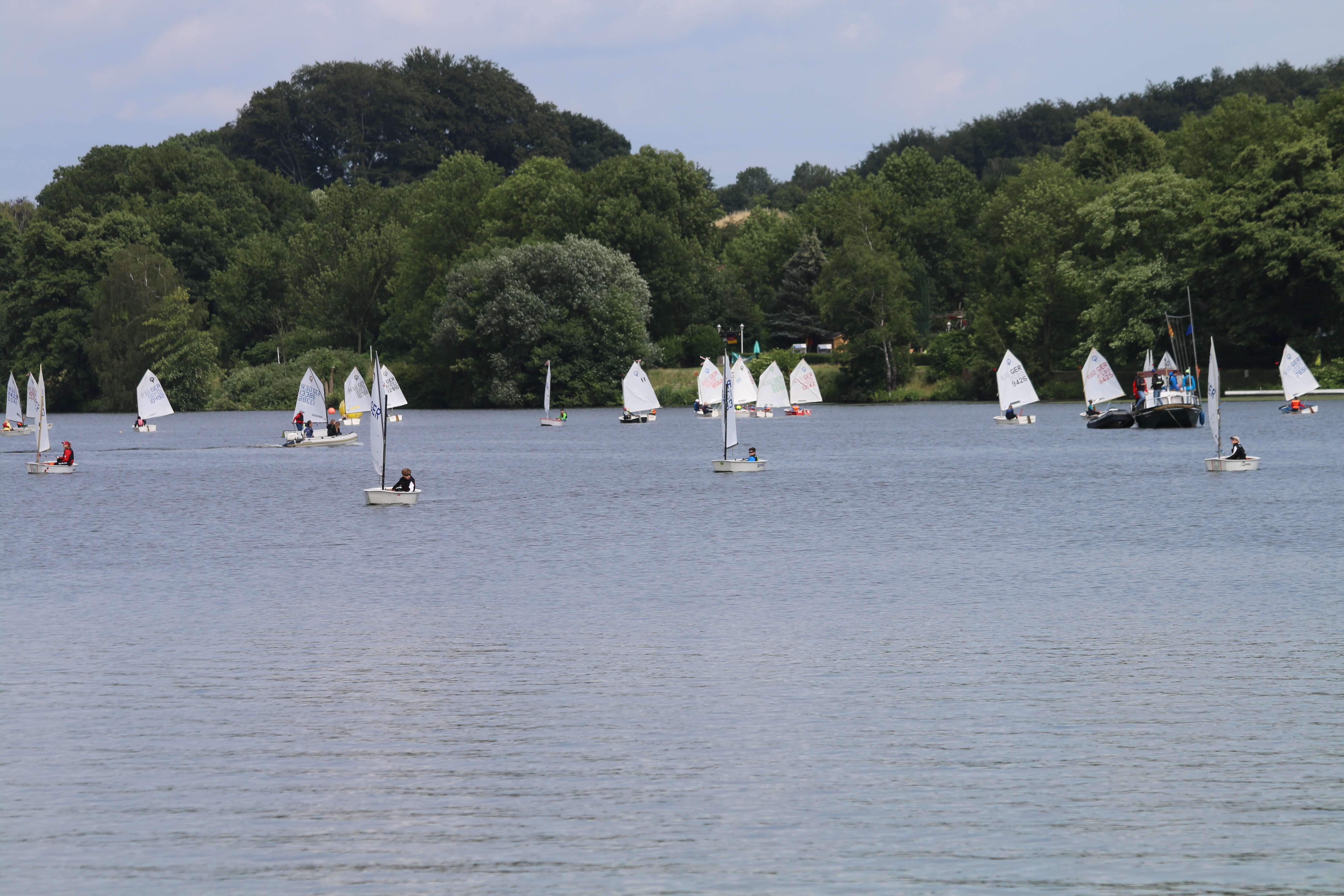 ETUF - Optipussi 2018